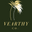 vearthy.com logo