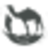 rajasthantourstoindia logo
