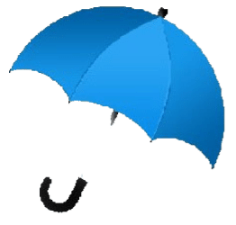 DBS Umbrella Solution logo