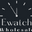 ewatchwholesale.com logo