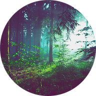 Innate logo