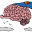 truBrain logo