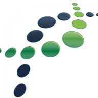 AcePace Training logo