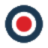 Randox Health logo