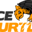 Fierceturtle logo
