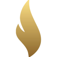 Digital Flames logo