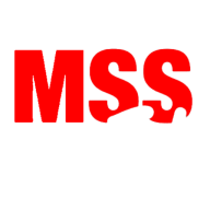 Msstools logo