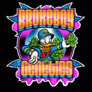 Brokeboygenetics logo