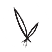 Bamboobody logo