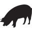 Little John's Hog Roast logo