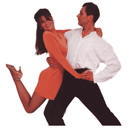 Bristol Dance Experience logo
