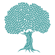 Well Financial Limited logo