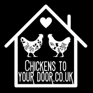 Chickenstoyourdoor logo