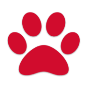 Your Dog Magazine logo