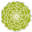 Arreesucculentes logo