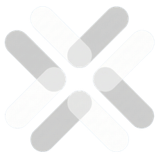Director First logo