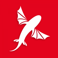 Best Kiteboarding logo