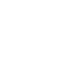 Majestic Clinic logo