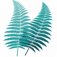 Greg Hodgkinson Funerals logo