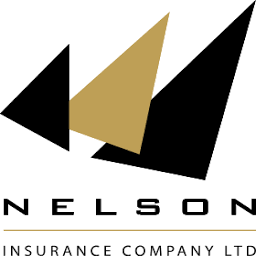 Nelsoninsltd logo