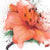 Luminanceskincare logo
