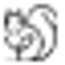 Total Environment Bangalore logo