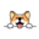 corgidoge.com logo