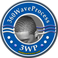 360waveProcess logo