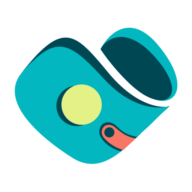 Debt Solution Advisor logo