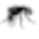 Editionsmosquito logo