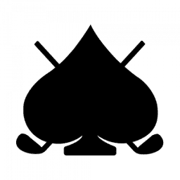 Ace Customs logo