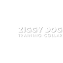 ziggydogtrainingcollar.com logo