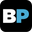 Braceprofessionals logo