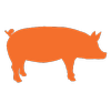 Salty Sow logo