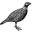 The Sporting Lodge logo