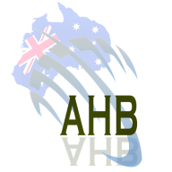 AHB Software Services logo