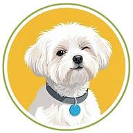 Sir Teddy Creations logo