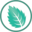 mintsoft.com logo
