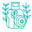 Boho Photo logo
