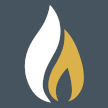 Fireplacegalleryfires logo