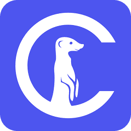 Curious Thing AI logo