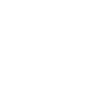 Wholesale Shopping logo