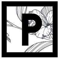 Piubella logo