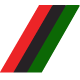The Salvatori Group logo