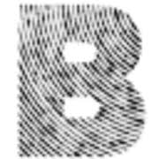 Block and Tackle Carpentry LTD logo