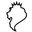 ANAX logo