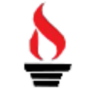 Pro Ace Heating logo