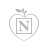 nanosmoothies logo