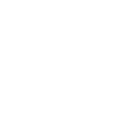 Walkermotors logo