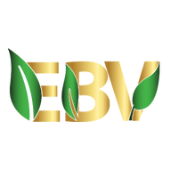 Ebv Store logo